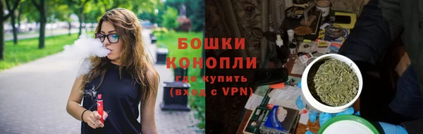 твердый Дмитров