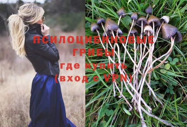 круглые Дмитриев