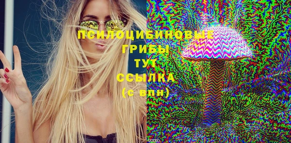 прущие крисы Гусь-Хрустальный